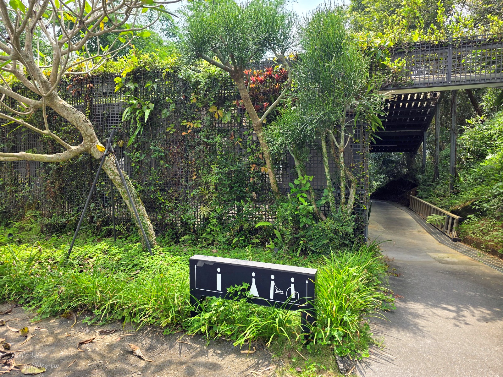 20250825210253_0_b64cdf 南投魚池日月潭免費景點：日月老茶廠的文青魅力美到翻！讓人一來就愛上