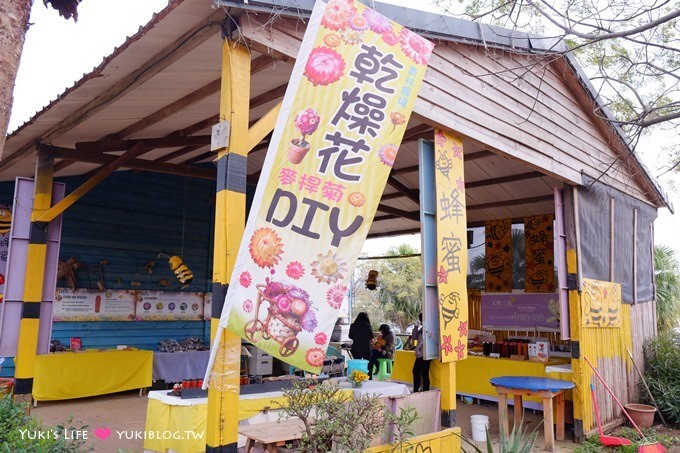 桃園觀音親子景點【青林農場】向日葵、麥桿菊×兒童草皮遊戲區(小火車、超跑、餵兔子) - yuki.tw