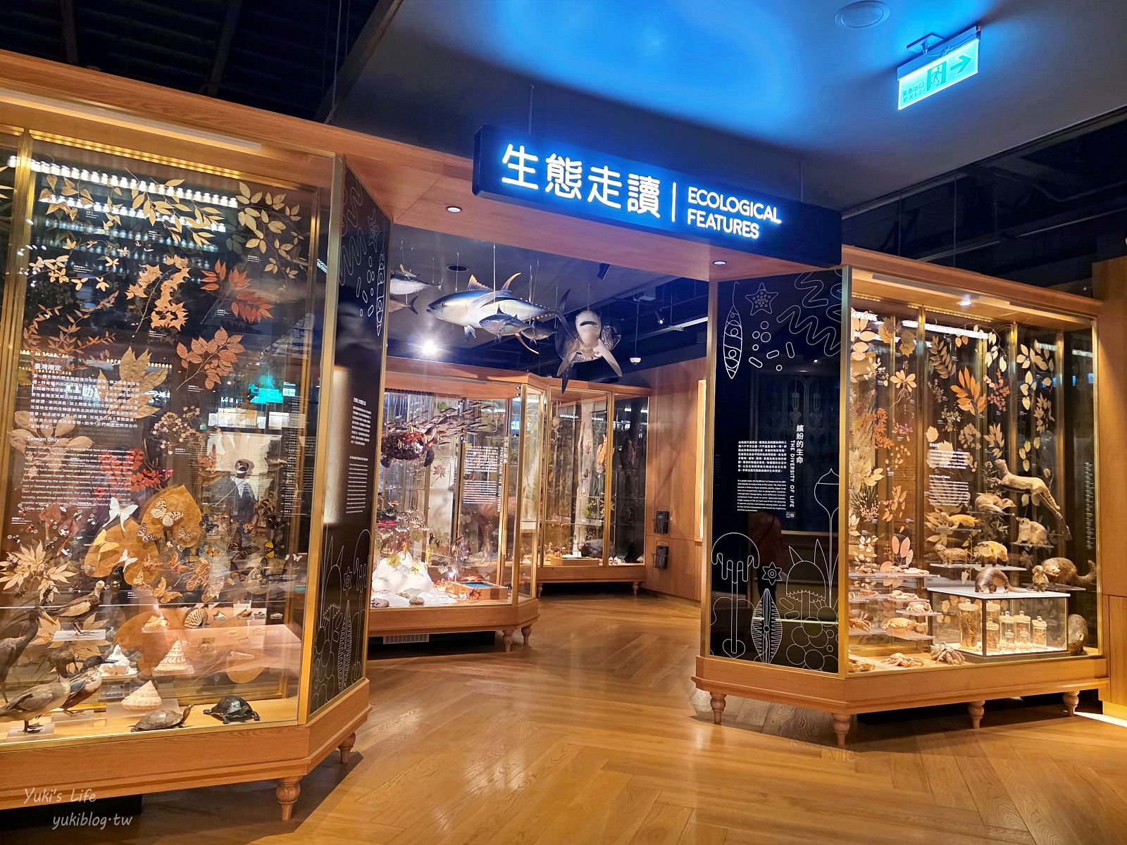 20260929233037_0_fb51ab 【台北室內景點推薦】走進「國立臺灣博物館本館」銅板價玩半天！百年希臘宮殿、專屬兒童探索遊戲區、還能過馬路看恐龍！