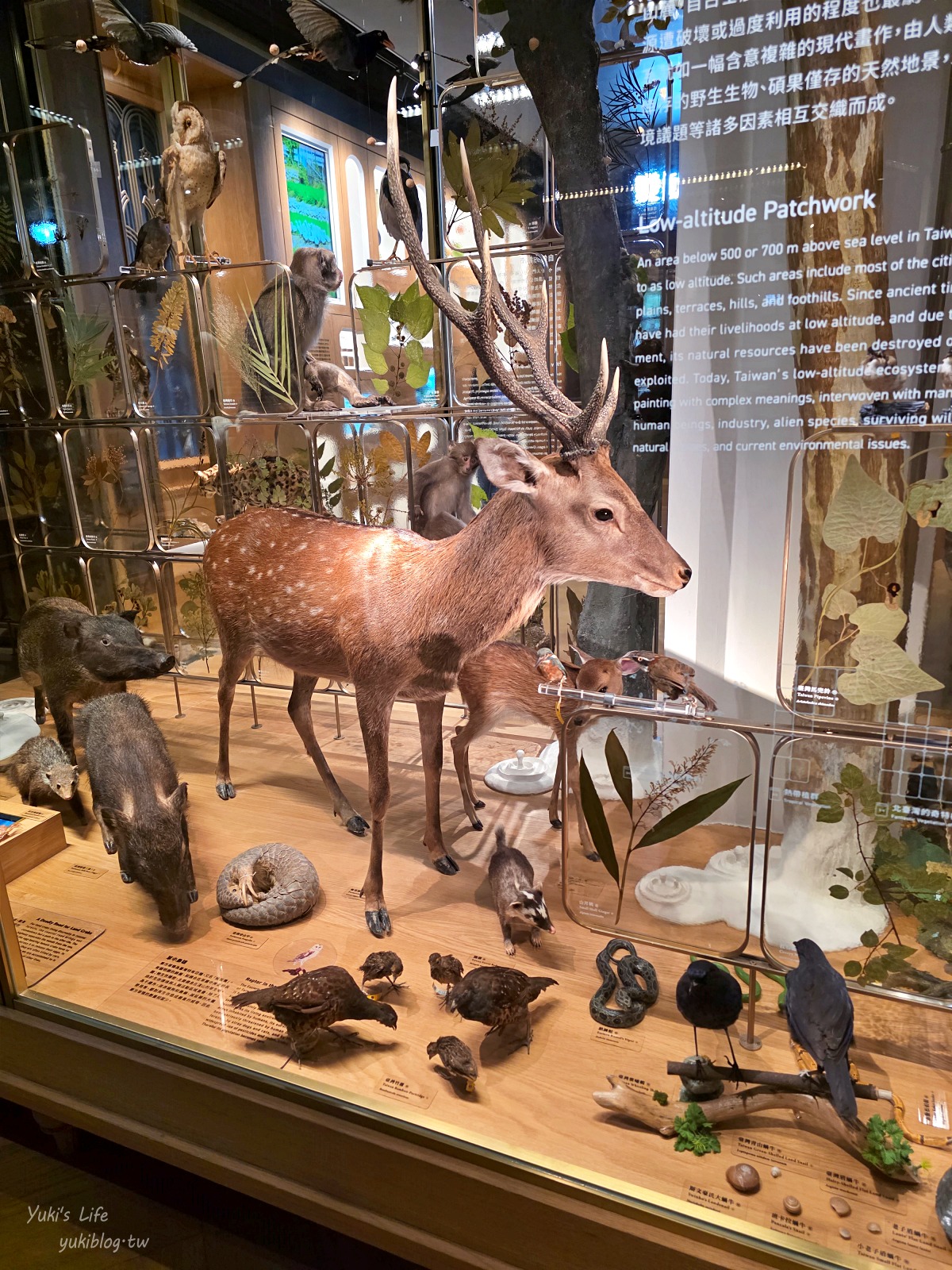 20260929233106_0_335768 【台北室內景點推薦】走進「國立臺灣博物館本館」銅板價玩半天！百年希臘宮殿、專屬兒童探索遊戲區、還能過馬路看恐龍！