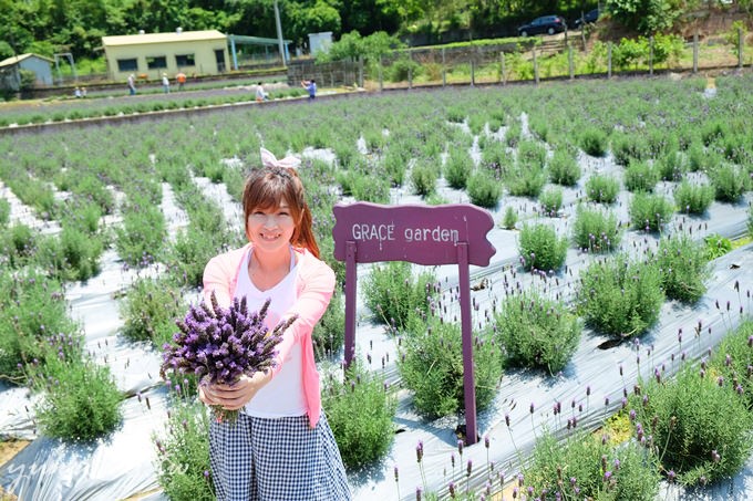 苗栗景點【葛瑞絲香草田】頭屋免費七千坪薰衣草花園×芳香浪漫異國風情 - yuki.tw