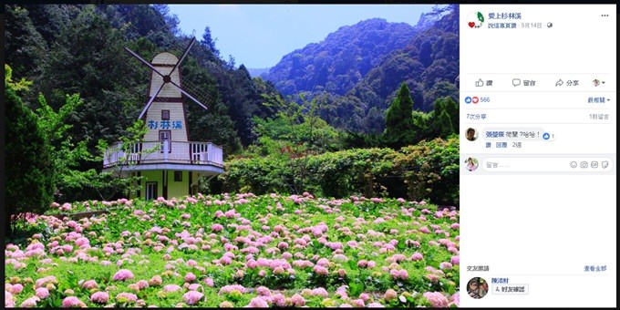 南投親子旅遊【杉林溪森林渡假園區】台灣美景避暑聖地×繡球花爆滿拍照好去處(遊園地圖／方式） - yuki.tw