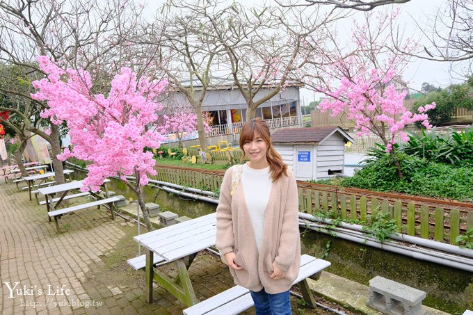 桃園景點【向陽農場】親子景點～薰衣草、向日葵、金魚草超美花海×兒童遊樂設施×餵羊咩咩 - yuki.tw