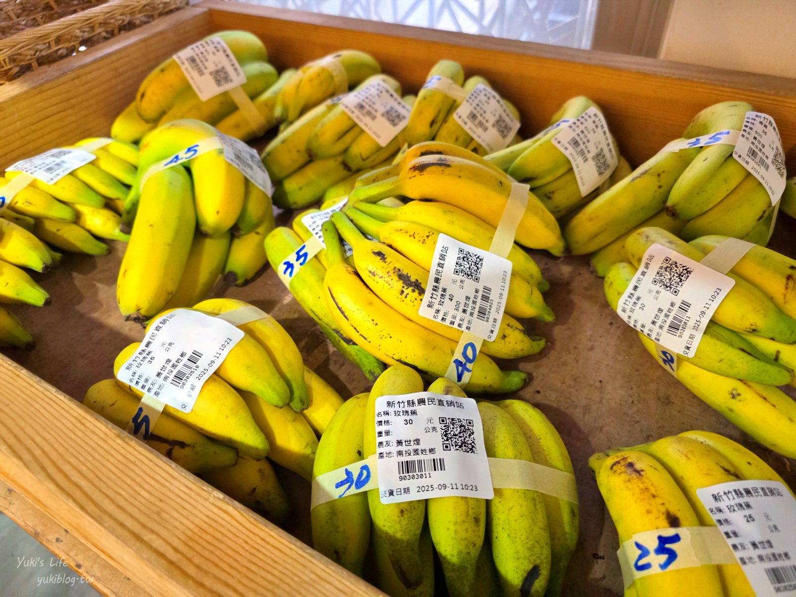20251001154044_0_3f81bf 免費新竹景點:新瓦屋客家文化保存區,文創聚落超好拍!草地野餐親子好去處