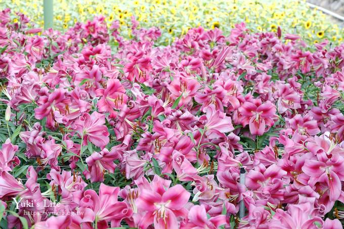 台中景點【中社觀光花市】歐式花海庭園全年可賞花×台中親子烤肉好去處！ - yuki.tw