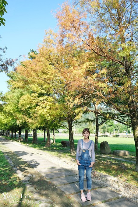 宜蘭新景點【蜂巢基地兒童遊樂場】土堤滑梯×沙坑×落羽松秘境(頭城運動公園) - yuki.tw