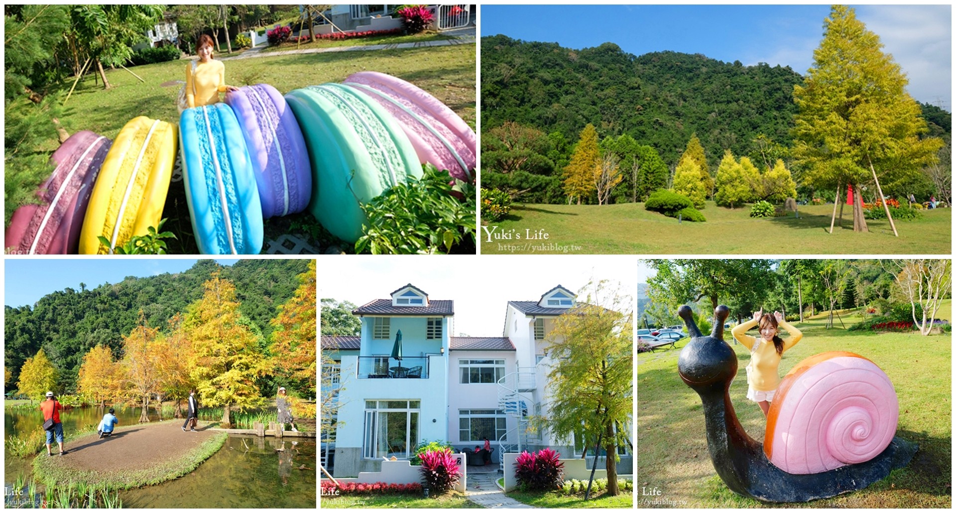 苗栗親子景點【雲水度假森林】落羽松約會好去處×水池花園、泡湯吃美食