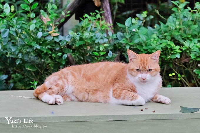 新北景點【猴硐貓村】喵咪公仔車站、新貓橋、猴硐煤礦博物園區~猴硐車站假日親子好去處 - yuki.tw