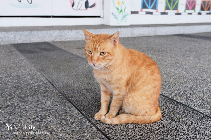 新北景點【猴硐貓村】喵咪公仔車站、新貓橋、猴硐煤礦博物園區~猴硐車站假日親子好去處 - yuki.tw