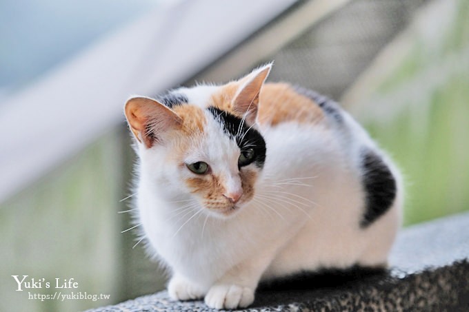 新北景點【猴硐貓村】喵咪公仔車站、新貓橋、猴硐煤礦博物園區~猴硐車站假日親子好去處 - yuki.tw