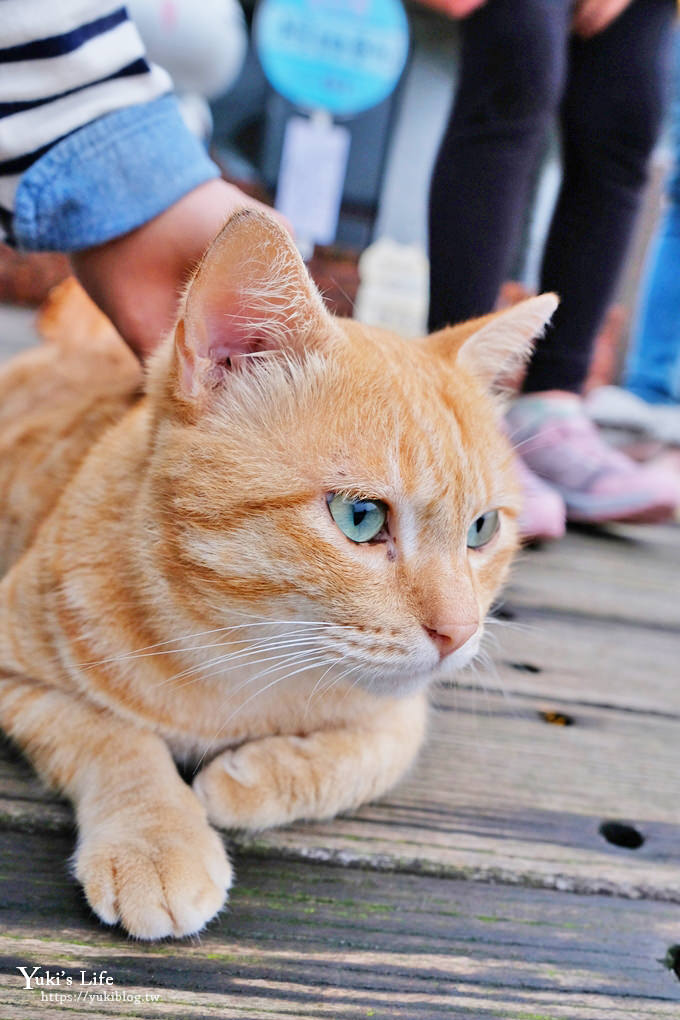 新北景點【猴硐貓村】喵咪公仔車站、新貓橋、猴硐煤礦博物園區~猴硐車站假日親子好去處 - yuki.tw