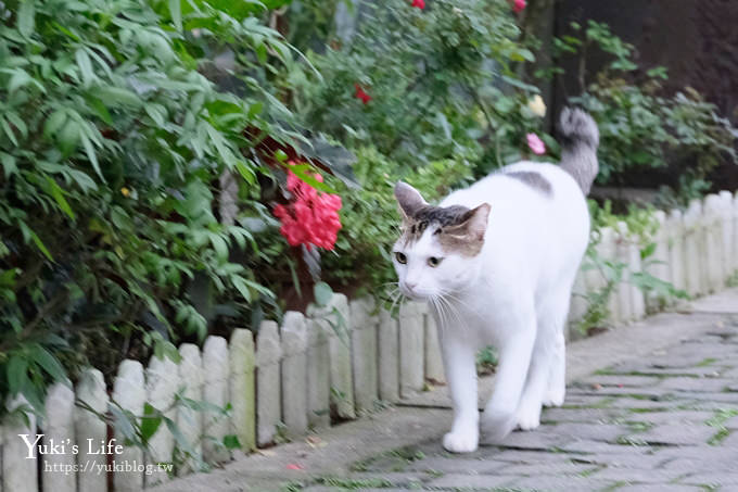 新北景點【猴硐貓村】喵咪公仔車站、新貓橋、猴硐煤礦博物園區~猴硐車站假日親子好去處 - yuki.tw