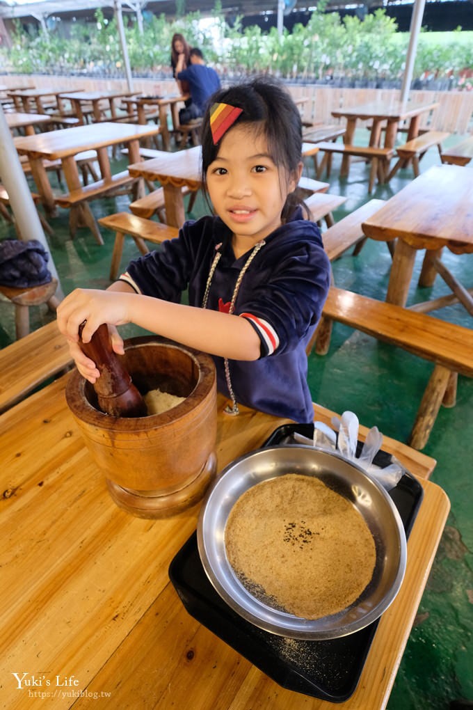 新竹景點【金勇diy番茄農場】彩色番茄聯合國(免門票)採果搗麻糬DIY親子好去處 - yuki.tw