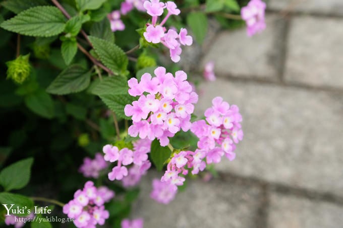 新北特色公園【鶯歌永吉公園】親子假日好去處！3D立體彩繪空橋、可愛公仔、野餐、溜滑梯、炮仗花 - yuki.tw