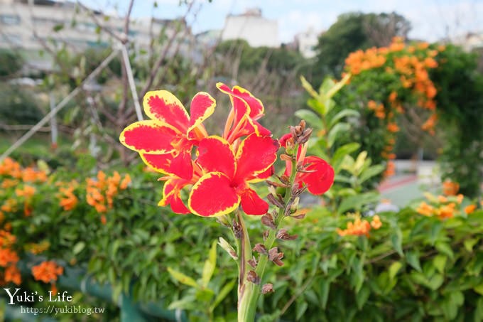 新北特色公園【鶯歌永吉公園】親子假日好去處！3D立體彩繪空橋、可愛公仔、野餐、溜滑梯、炮仗花 - yuki.tw