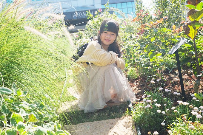 桃園一日遊免費景點推薦【雅聞魅力博覽館】歐式宮廷玫瑰花園×免費觀光工廠×玻璃屋親子DIY~ - yuki.tw