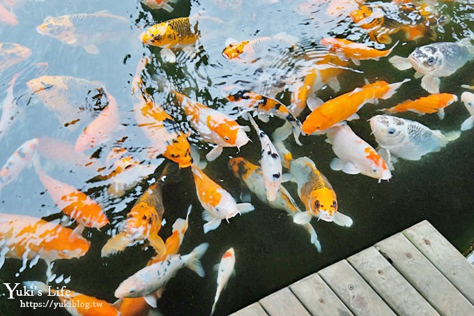 台中景點【星月大地景觀休閒園區】玩水泡湯夜景餐廳，后里親子好去處～ - yuki.tw