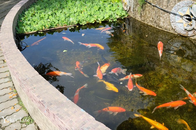 南投埔里》台一生態休閒農場，落羽松童話森林，親子玩水玩沙景點 - yuki.tw