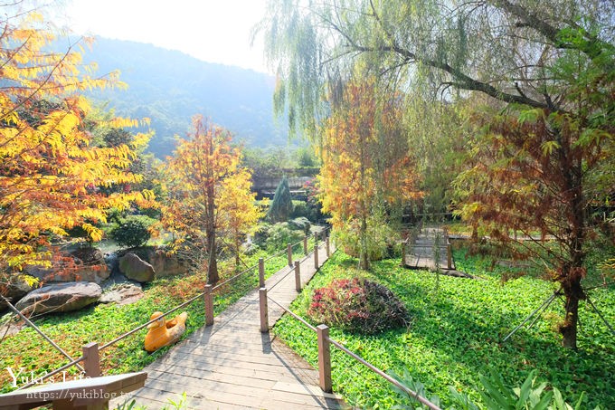 南投埔里》台一生態休閒農場，落羽松童話森林，親子玩水玩沙景點 - yuki.tw