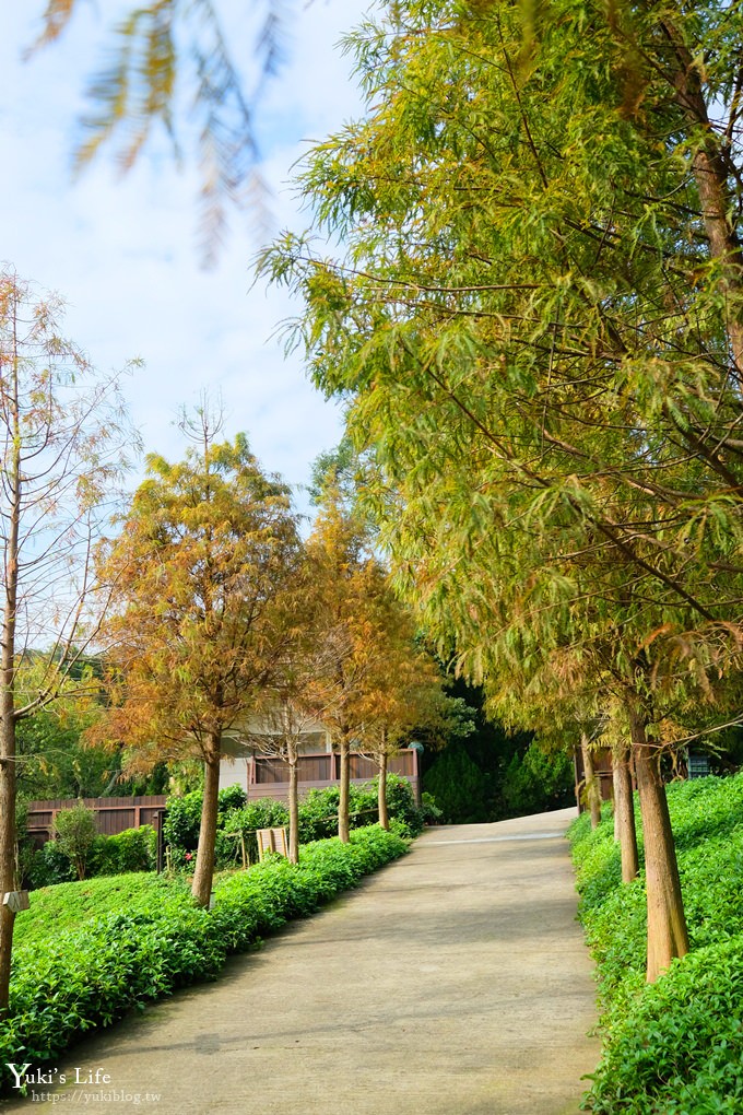 新竹景點【森林鳥花園】森林系彩虹溜滑梯×水池×玩沙池×鳥園小動物~親子一日遊好去處！ - yuki.tw