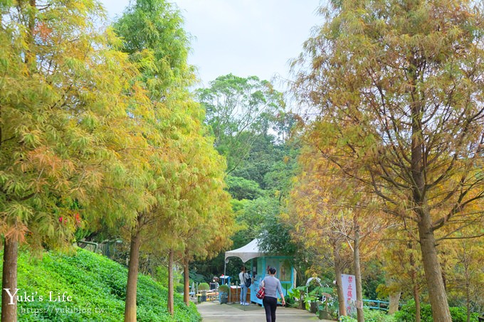 新竹景點【森林鳥花園】森林系彩虹溜滑梯×水池×玩沙池×鳥園小動物~親子一日遊好去處！ - yuki.tw