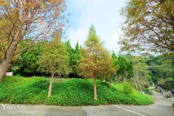 新竹景點【森林鳥花園】森林系彩虹溜滑梯×水池×玩沙池×鳥園小動物~親子一日遊好去處！ - yuki.tw