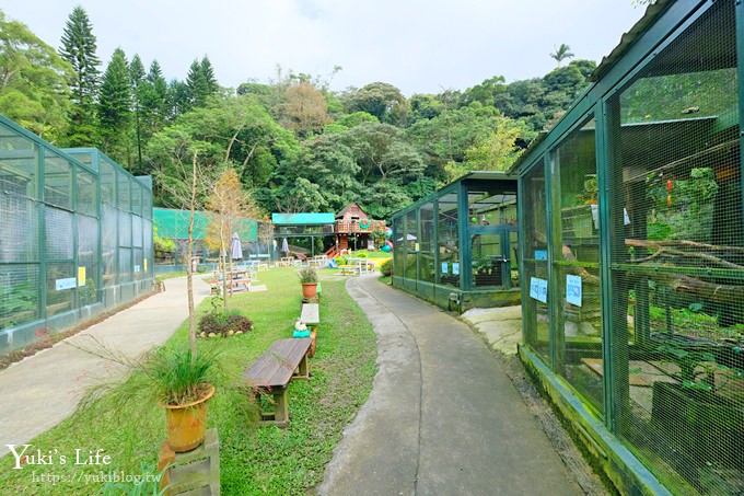 新竹景點【森林鳥花園】森林系彩虹溜滑梯×水池×玩沙池×鳥園小動物~親子一日遊好去處！ - yuki.tw