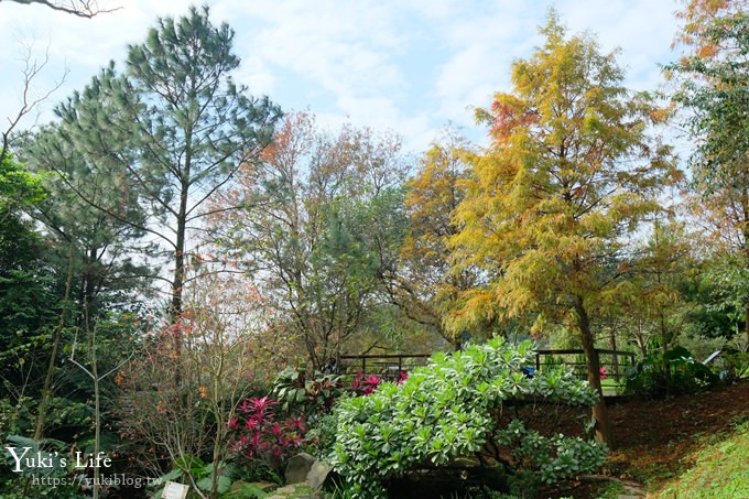 新竹景點【森林鳥花園】森林系彩虹溜滑梯×水池×玩沙池×鳥園小動物~親子一日遊好去處！ - yuki.tw