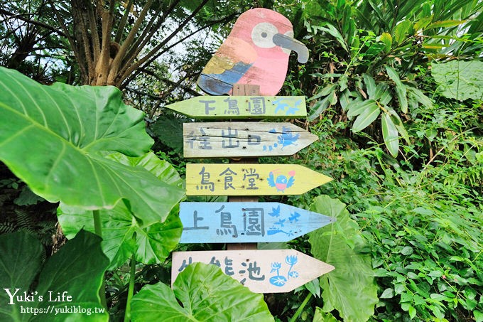 新竹景點【森林鳥花園】森林系彩虹溜滑梯×水池×玩沙池×鳥園小動物~親子一日遊好去處！ - yuki.tw