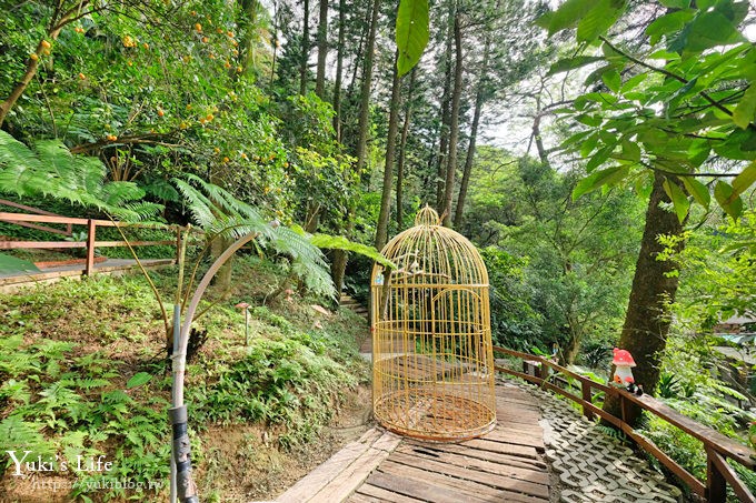 新竹景點【森林鳥花園】森林系彩虹溜滑梯×水池×玩沙池×鳥園小動物~親子一日遊好去處！ - yuki.tw