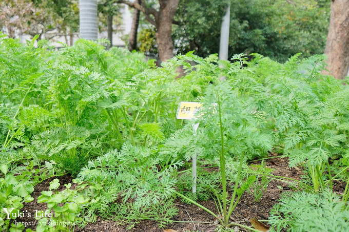 台北捷運親子景點【國立臺灣博物館南門園區】銅板價逛樟腦產業與南門工場常設展~戶外還有大水池和烏龜 - yuki.tw