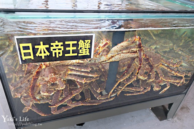 桃園美食【河馬水產】超猛海鮮超市現買現開火鍋×現撈龍蝦、帝王蟹超青 - yuki.tw