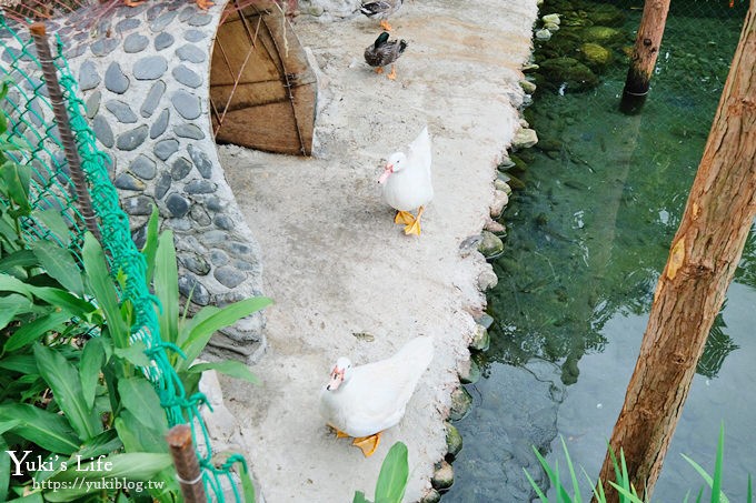 宜蘭一日遊》廣興農場~高CP值親子景點！可愛動物,焢土窯,親子DIY~假日聚餐好去處 - yuki.tw