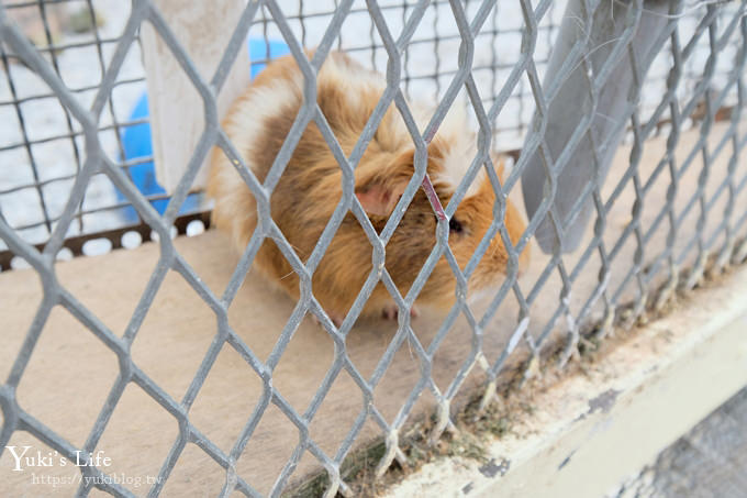 宜蘭一日遊》廣興農場~高CP值親子景點！可愛動物,焢土窯,親子DIY~假日聚餐好去處 - yuki.tw