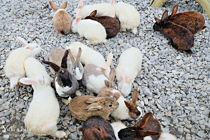 宜蘭一日遊》廣興農場~高CP值親子景點！可愛動物,焢土窯,親子DIY~假日聚餐好去處 - yuki.tw