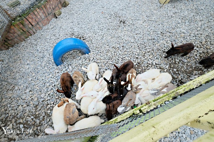 宜蘭一日遊》廣興農場~高CP值親子景點！可愛動物,焢土窯,親子DIY~假日聚餐好去處 - yuki.tw