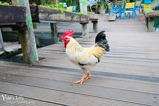 宜蘭一日遊》廣興農場~高CP值親子景點！可愛動物,焢土窯,親子DIY~假日聚餐好去處 - yuki.tw