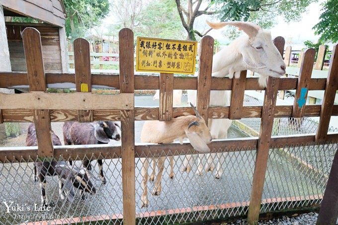 宜蘭一日遊》廣興農場~高CP值親子景點！可愛動物,焢土窯,親子DIY~假日聚餐好去處 - yuki.tw