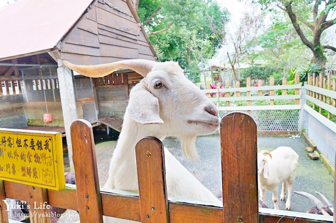 宜蘭一日遊》廣興農場~高CP值親子景點！可愛動物,焢土窯,親子DIY~假日聚餐好去處 - yuki.tw