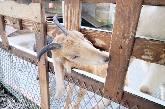 宜蘭一日遊》廣興農場~高CP值親子景點！可愛動物,焢土窯,親子DIY~假日聚餐好去處 - yuki.tw