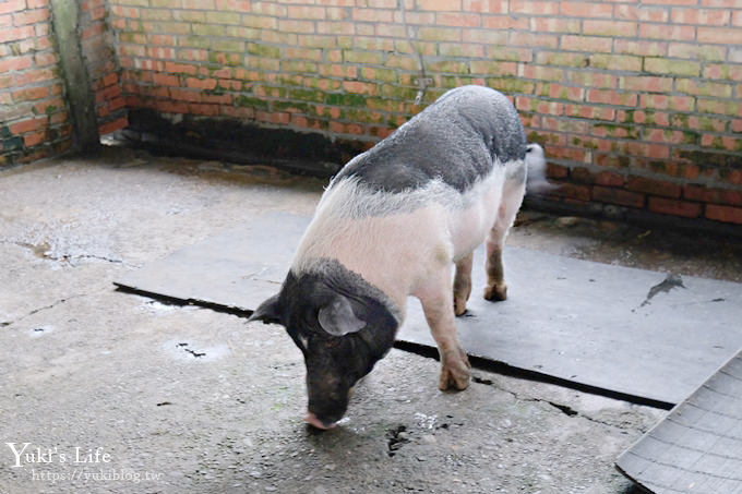 宜蘭一日遊》廣興農場~高CP值親子景點！可愛動物,焢土窯,親子DIY~假日聚餐好去處 - yuki.tw