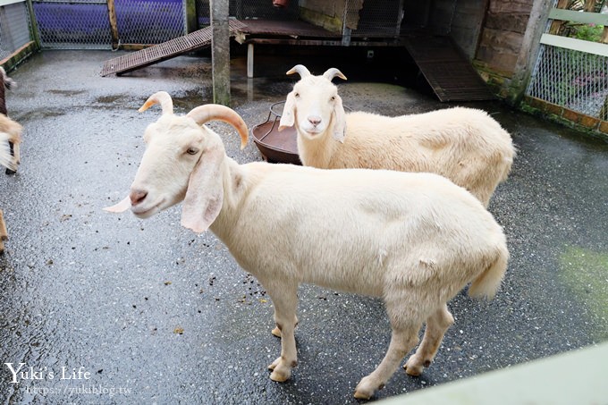 宜蘭一日遊》廣興農場~高CP值親子景點！可愛動物,焢土窯,親子DIY~假日聚餐好去處 - yuki.tw