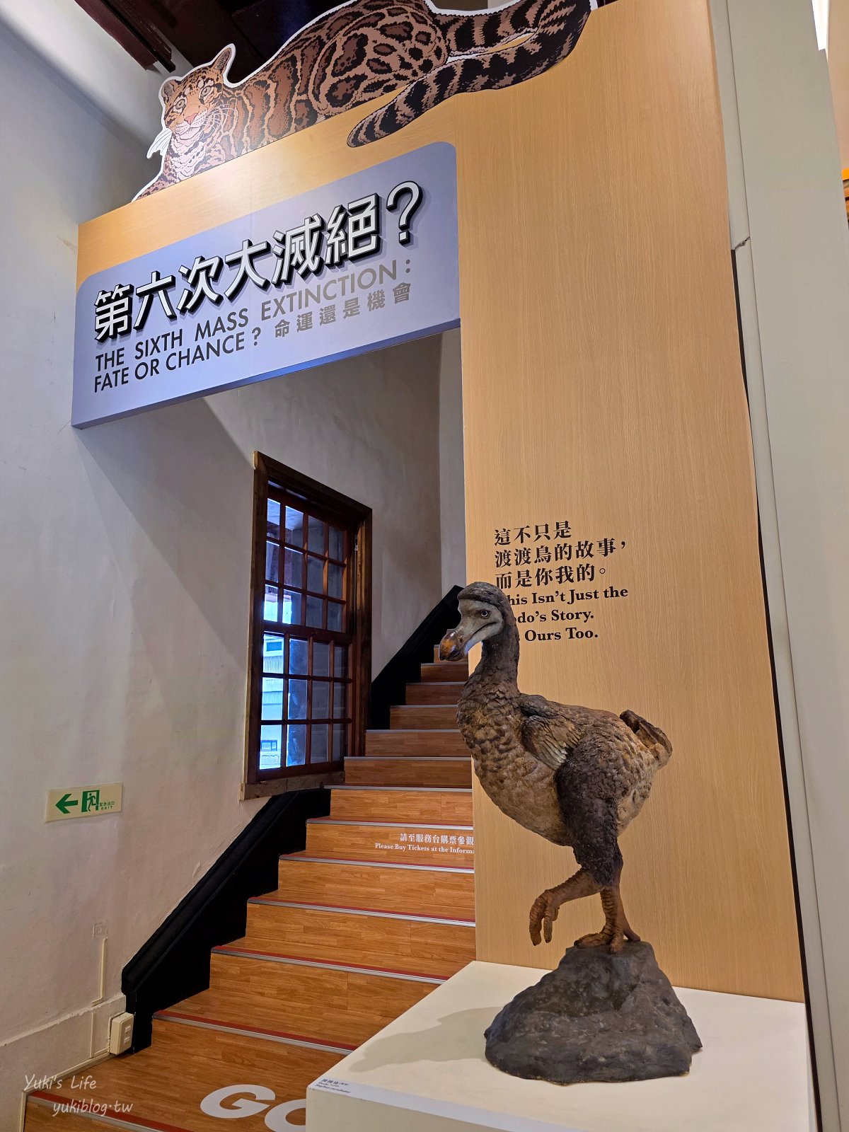 20261001152121_0_7b03a1 走進市區百年紅樓!台北捷運景點《臺灣博物館南門園區》聞樟腦香氣、展出超豐富,門票只要20元!