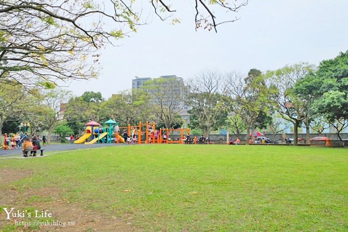 桃園親子景點【大溪埔頂公園】超美花海盛開×野餐好去處×大草皮溜滑梯×大溪老街順遊行程 - yuki.tw