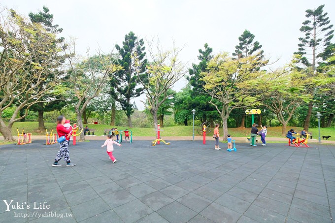 桃園親子景點【大溪埔頂公園】超美花海盛開×野餐好去處×大草皮溜滑梯×大溪老街順遊行程 - yuki.tw