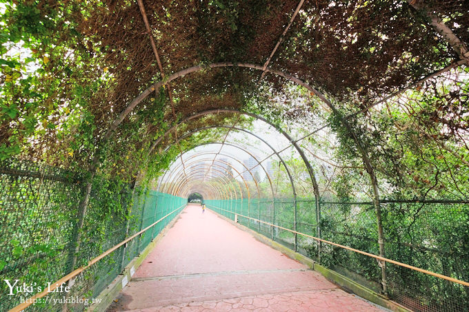 桃園親子景點【大溪埔頂公園】超美花海盛開×野餐好去處×大草皮溜滑梯×大溪老街順遊行程 - yuki.tw