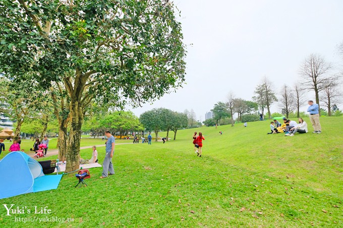 桃園親子景點【大溪埔頂公園】超美花海盛開×野餐好去處×大草皮溜滑梯×大溪老街順遊行程 - yuki.tw