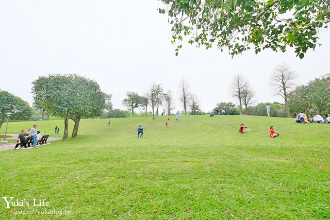 桃園親子景點【大溪埔頂公園】超美花海盛開×野餐好去處×大草皮溜滑梯×大溪老街順遊行程 - yuki.tw