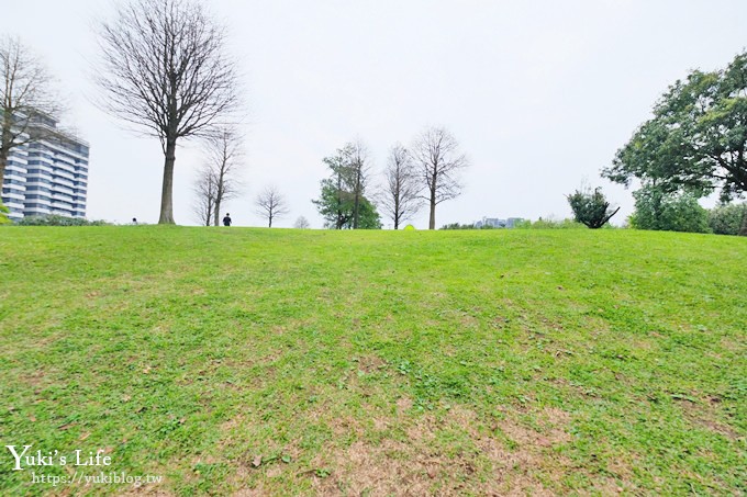 桃園親子景點【大溪埔頂公園】超美花海盛開×野餐好去處×大草皮溜滑梯×大溪老街順遊行程 - yuki.tw