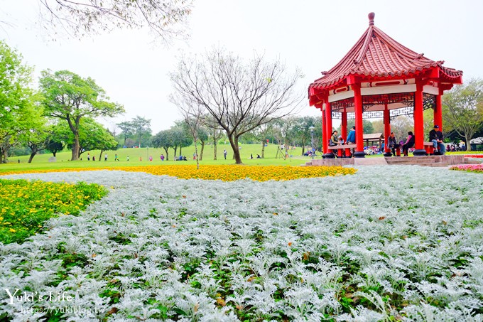 桃園親子景點【大溪埔頂公園】超美花海盛開×野餐好去處×大草皮溜滑梯×大溪老街順遊行程 - yuki.tw